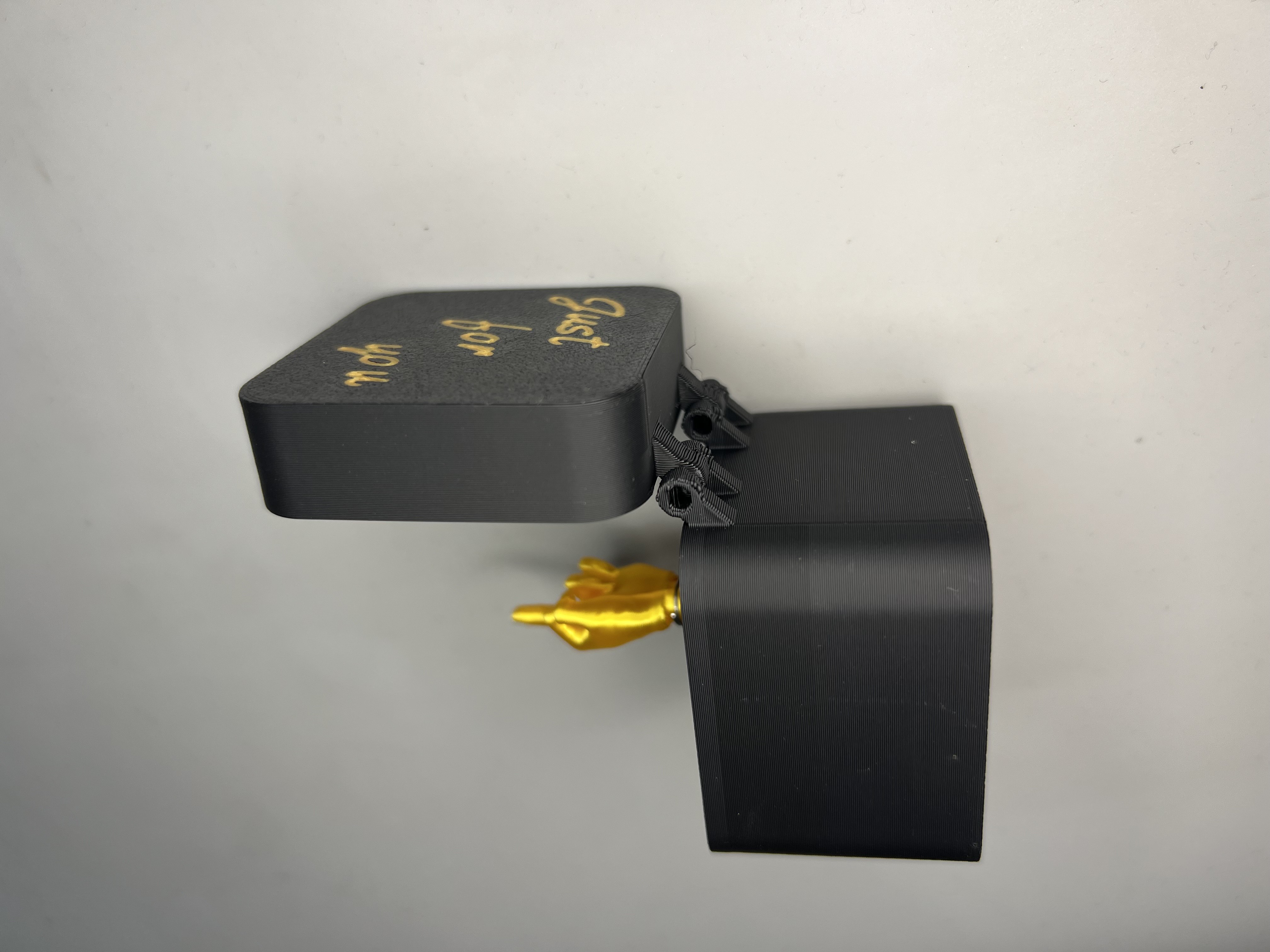 Just for you Überraschungsbox mit Mittelfinger anzeige